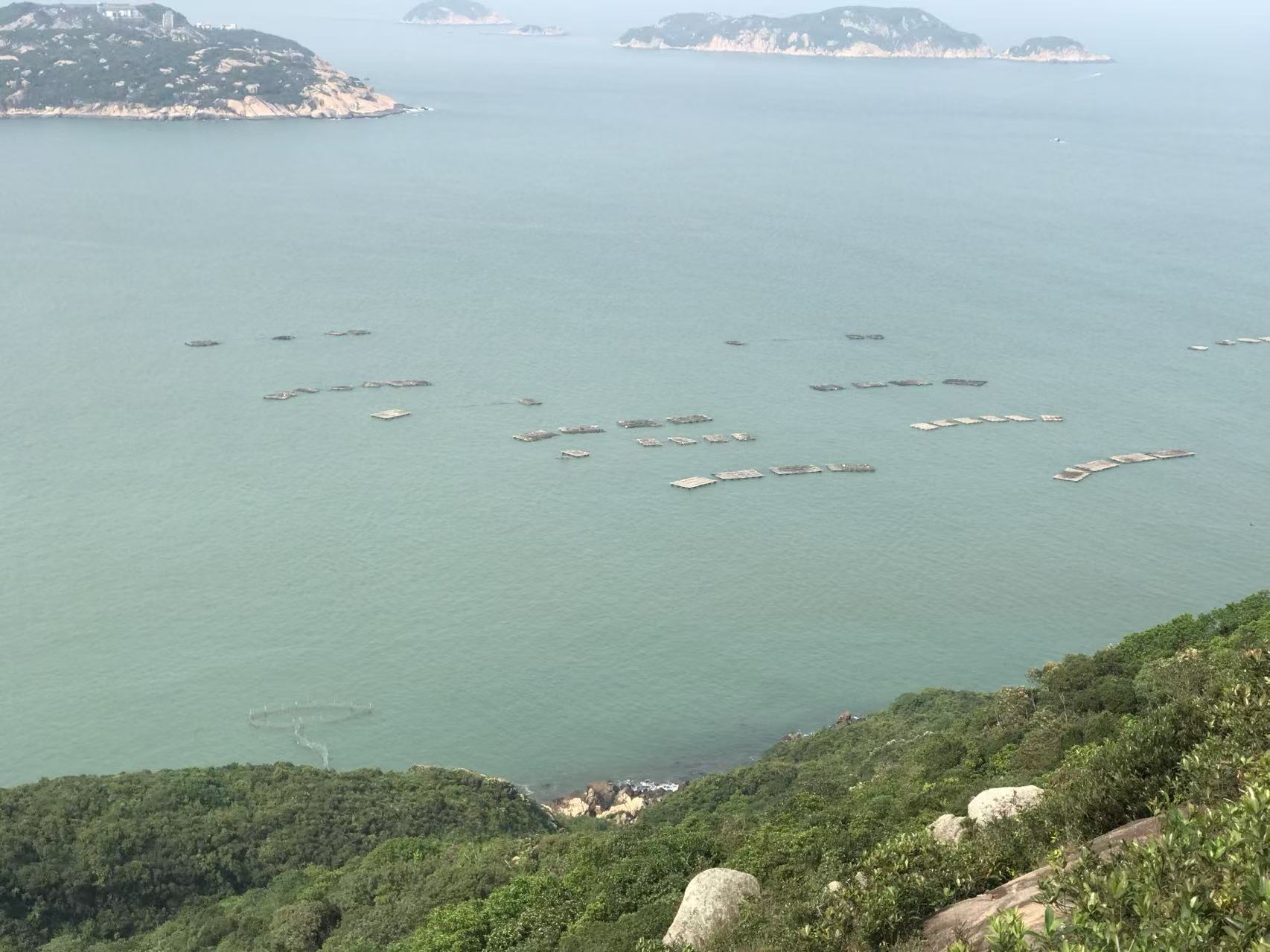 Life Became Softer When I Started Collecting Tiny Moments of Happiness